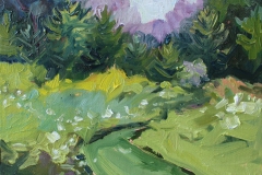 #102 - Ave' Veneklasen, Queen Anne's Lace, 2021, Oil, 8" x 10" x 1", 1 lb, $275