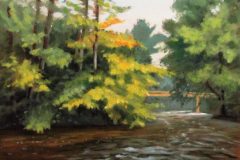 #43 - Brant MacLean, Hudson Mills Rapids, 2021, Oil on Canvass, 11" x 14", 1 lb, $325
