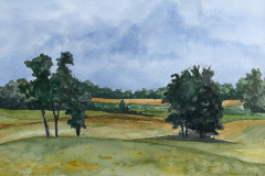 #338 - Spike Hains, Dexter Farmland, Watercolor, 10" x 12", 1lb, $250
